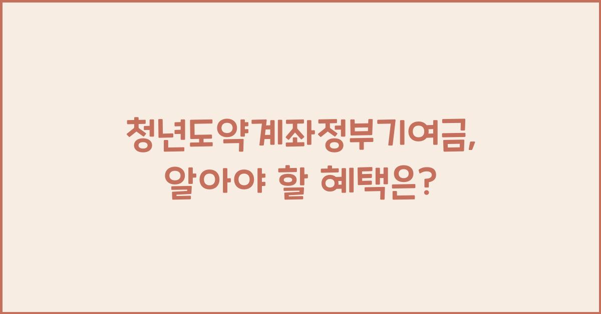 청년도약계좌정부기여금