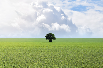 국토부-지적도-무료-열람