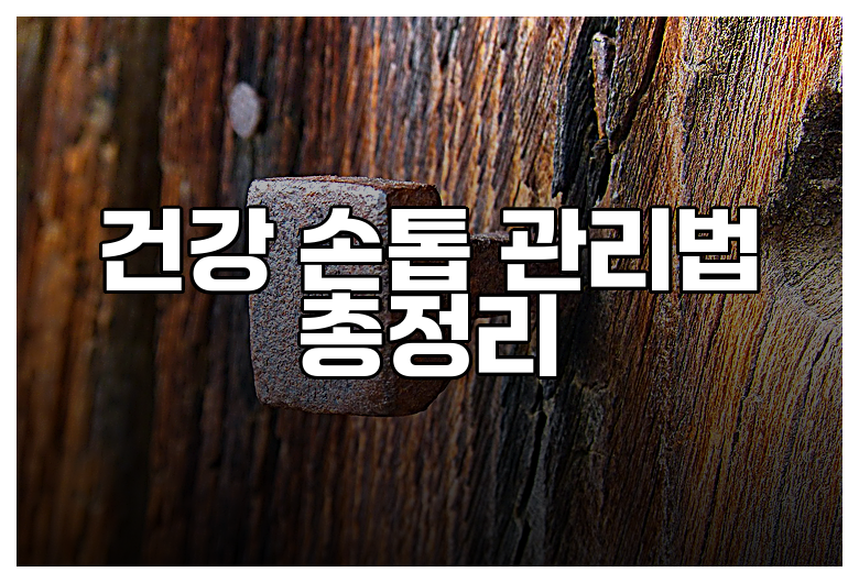 건강 손톱 관리법 총정리