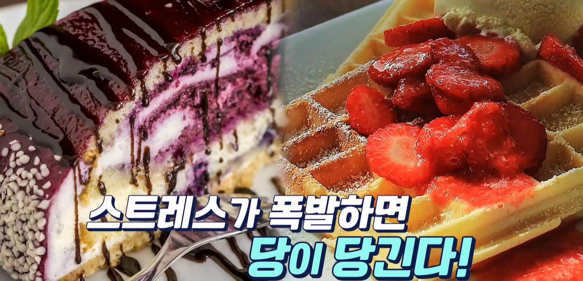 시서스 효능