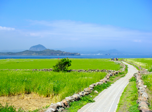 5월제주도 가볼만한곳