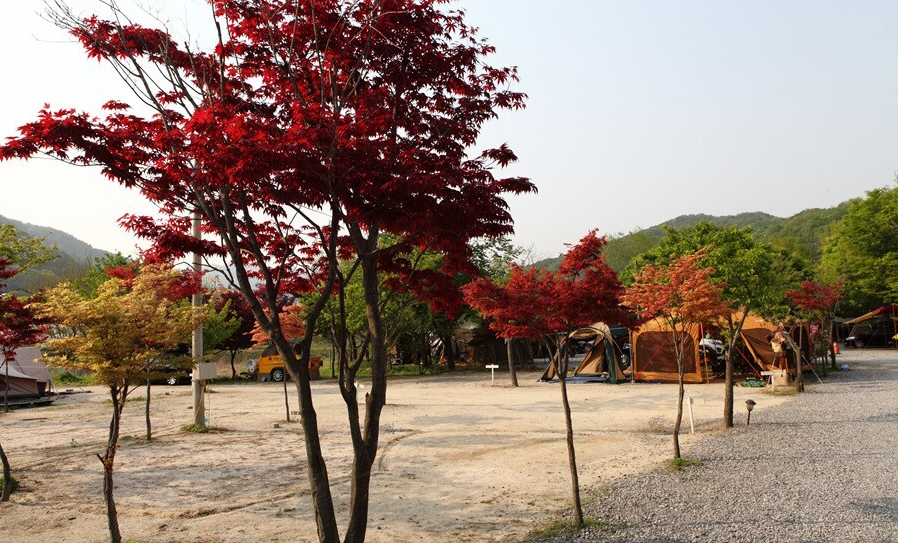 경기-남양주-토마토-오토캠핑장-사진-입니다.