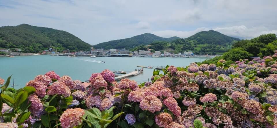 2025 6월 고흥 쑥섬 여행 꿀팁 총정리 사진