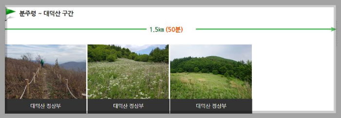 태백산 등산코스 금대봉 코스