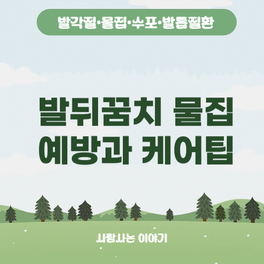 발뒤꿈치 물집, 이 생활습관이 원인입니다 feat. 예방 &amp; 풋케어 팁