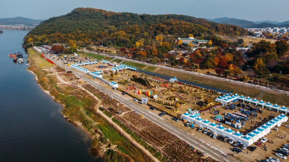 백제고도 부여국화축제