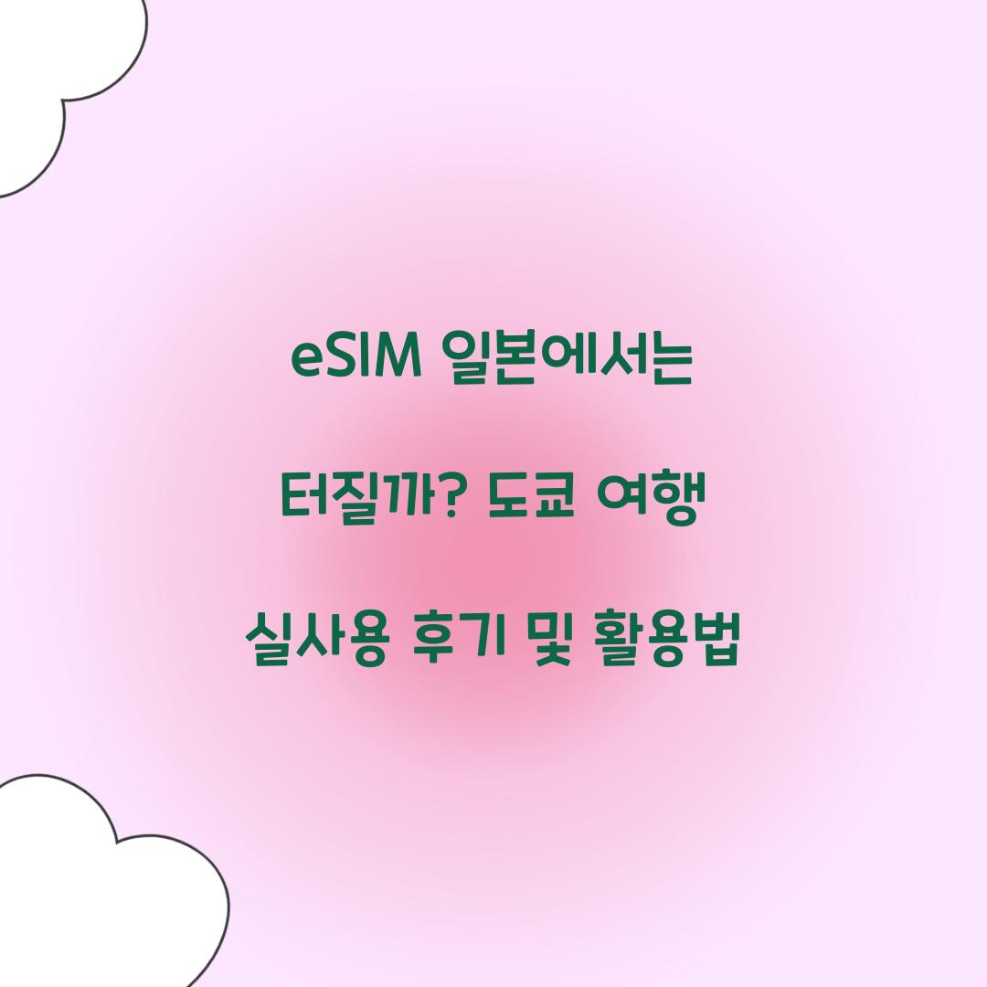 eSIM 일본에서는 터질까