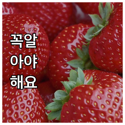 2025 부산영락공원 장사시설 이용요..