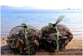 6시내고향 사천 굴구이맛집 펜션 예약 완벽 가이드