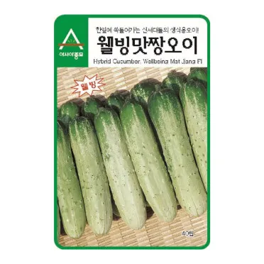 오이피클 만드는법 황금레시피_16