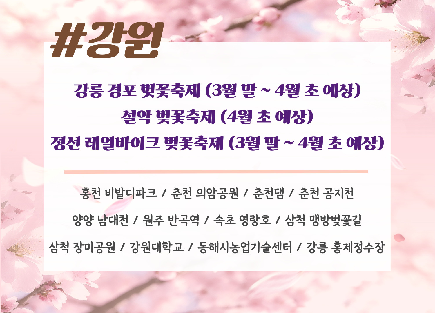 2024년 벚꽃 지역별 개화시기