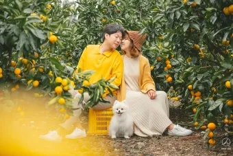 제주 반려견과 함께 가기 좋은 펫프렌들리 숙소 리스트_26