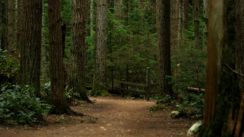 산림바우처 지원 금액