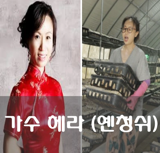 가수 헤라 (옌청쉬)