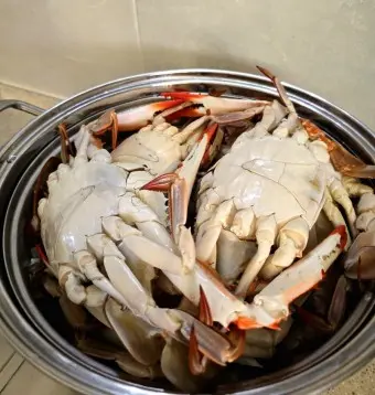 등껍질을 아래로 가게 넣어야된다