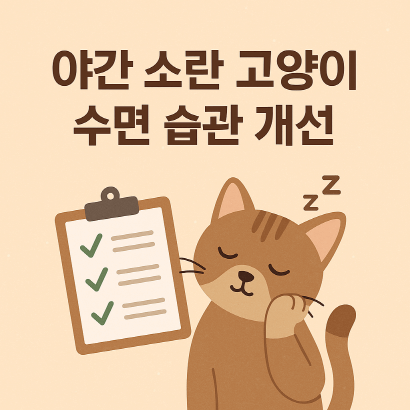 반려묘 야간 활동 줄이기 : 놀이&middot;식사&middot;환경 관리 가이드
