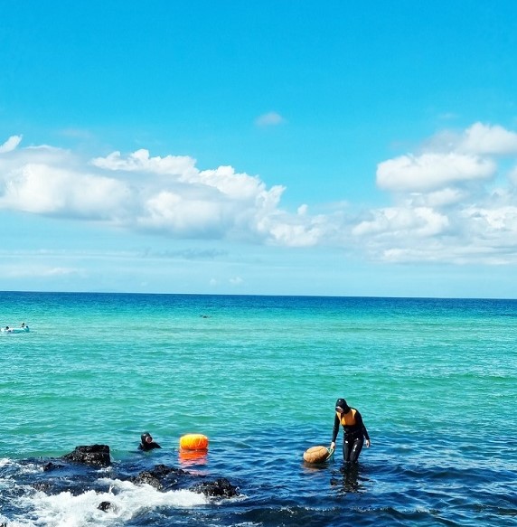 제주 해녀들의 이야기와 바다에서의 생활