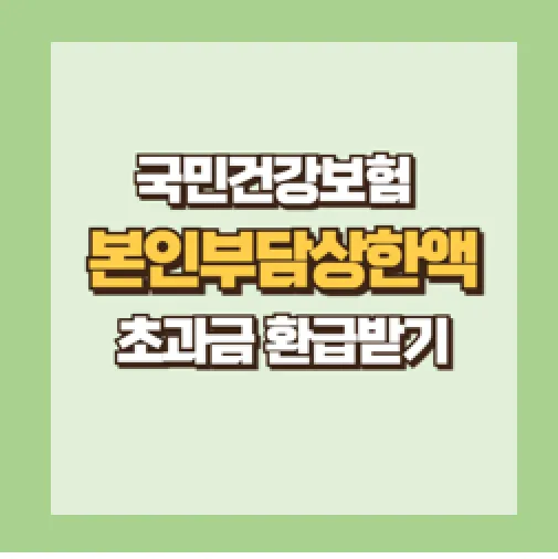 본인부담상한액 초과금 조회하기