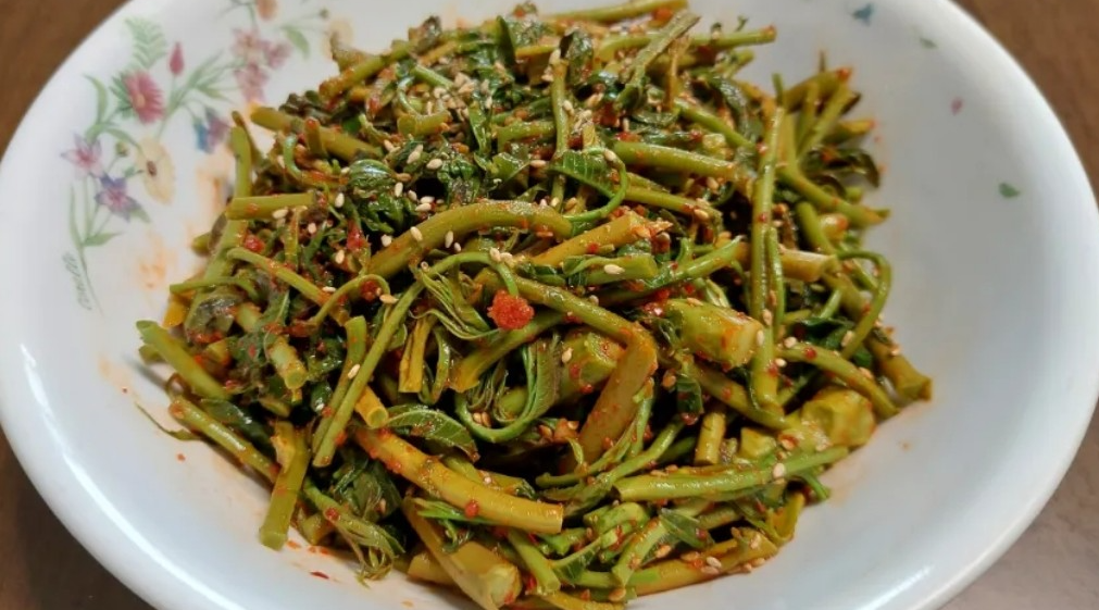 개두릅-참두릅-차이