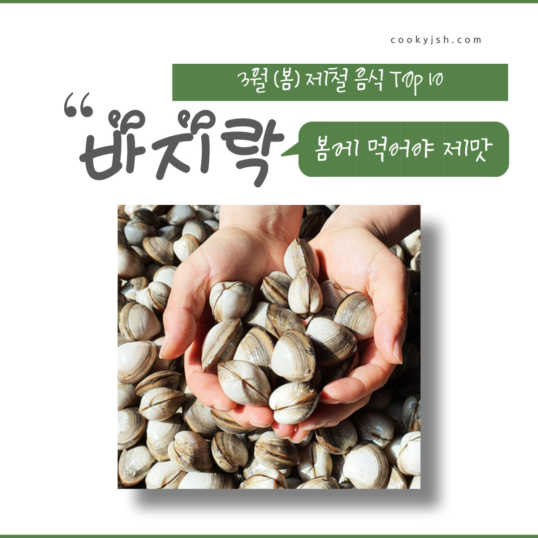 3월에 먹으면 좋은 제철 음식(봄철 음식) - 바지락편 (효능&#44; 바지락이 들어가는 음식)