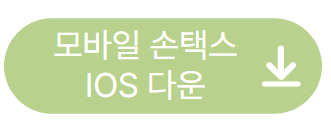 손택스 IOS