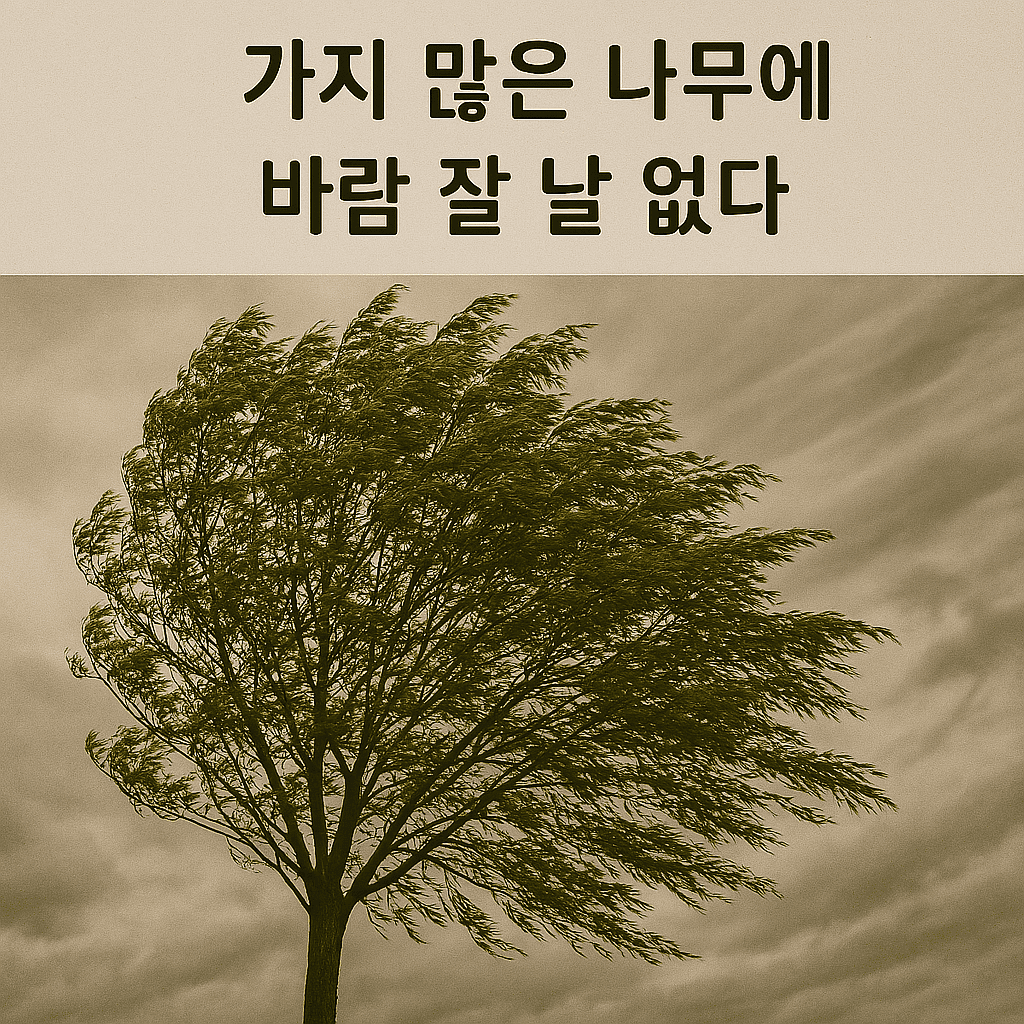 가지 많은 나무에 바람 잘 날 없다