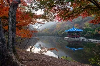 내장산 단풍터널 드라이브 코스 주차장 위치까지 총정리_10
