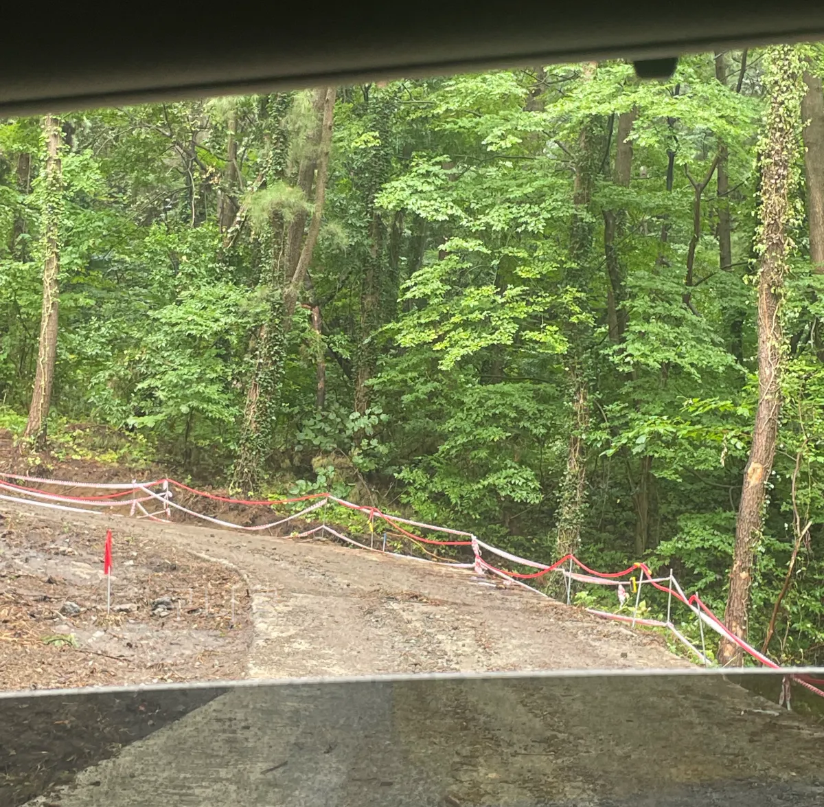 울릉도-2박3일-여행-폭우이슈&amp;#44;-고립될뻔한-이야기&amp;#44;-무사히-다녀온-독도