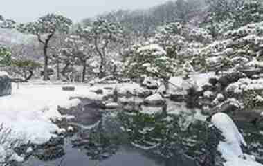 화담숲 모노레일 예약 3분 완벽 가이드