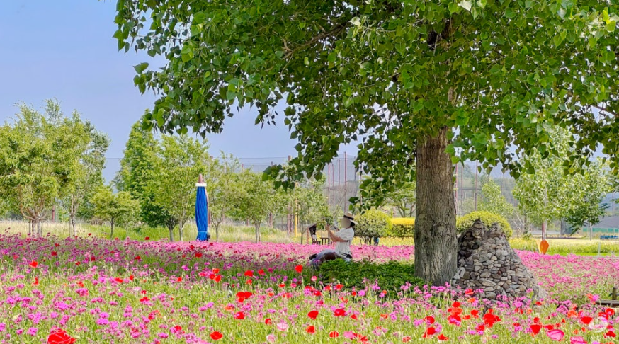 창원 대산플라워랜드 꽃구경 명소, 개화시기부터 주차팁까지 정리!