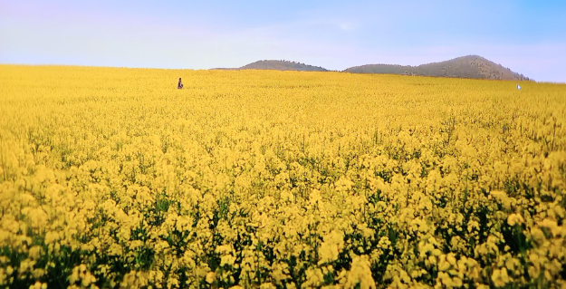 폭싹 속았수다 촬영지