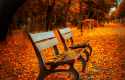 2023년 단풍시기