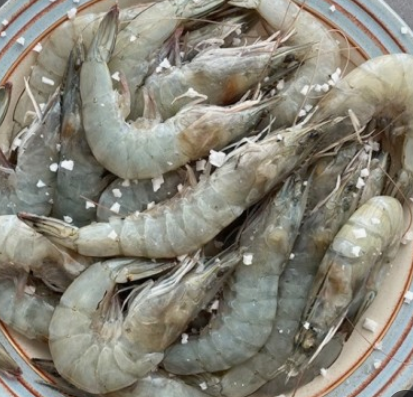 [6시 내고향] 나주 양식 새우 택배주문 나주금천왕새우 판매정보