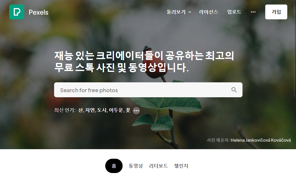 무료 이미지 사이트