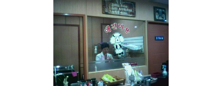 목포시 동물병원