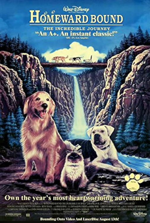 영화 머나먼 여정의 포스터 이미지 사진