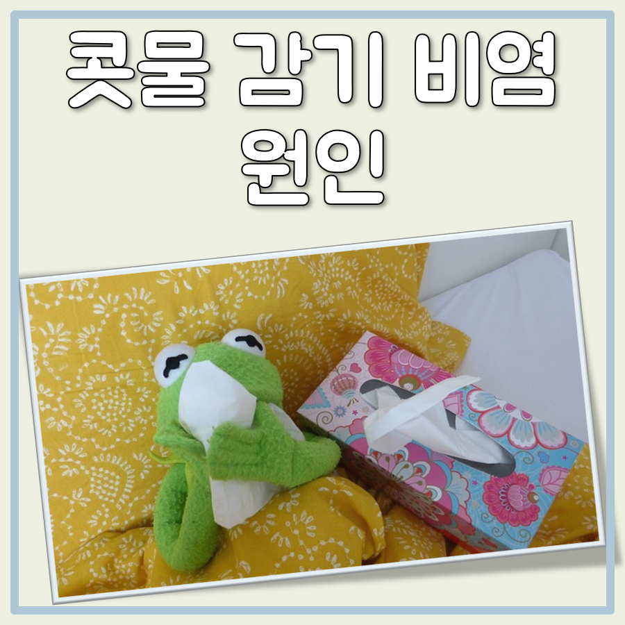 콧물 색으로 알아보는 감기와 비염의 원인: 맑은 콧물부터 노란색, 초록색까지 대표 이미지