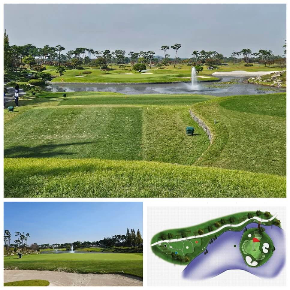 골프장 경험담 당진 파인스톤cc 대형 멋진 정원에서 환상의 골프 운동