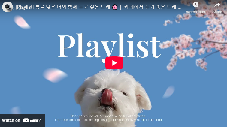 봄노래 추천 산책 드라이브 카페