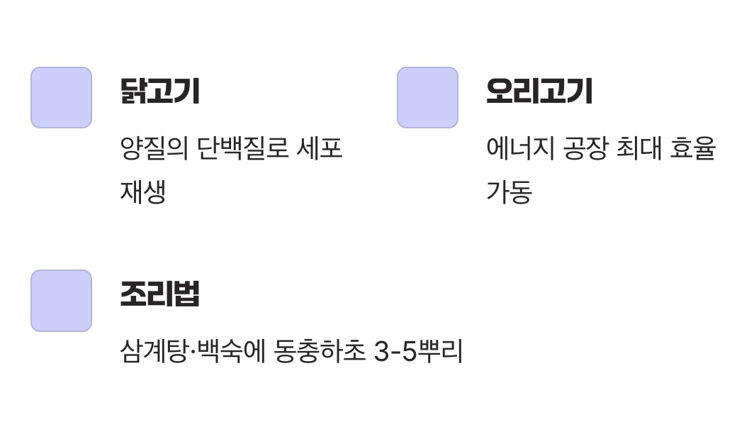 기력 회복의 정답, 닭과 오리