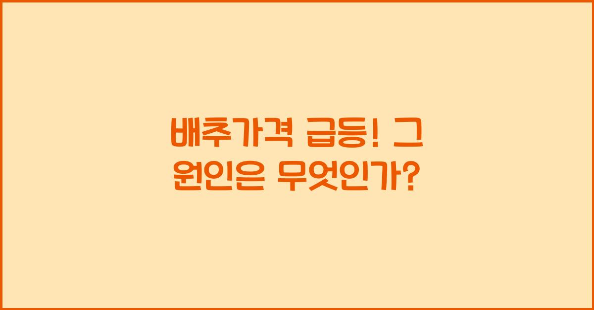 배추가격