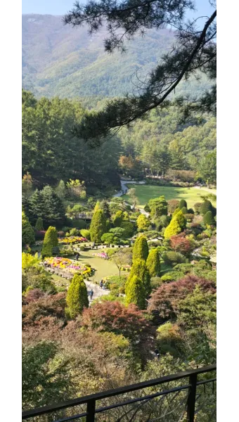 아침고요수목원 입장료 근처 맛집 펜션 추천_17