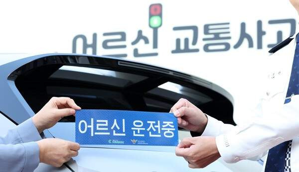 2025년 교통사고 통계 분석: 사고는 줄었지만 사망자가 늘어난 충격적인 이유 (고령자 대책 집중 분석)