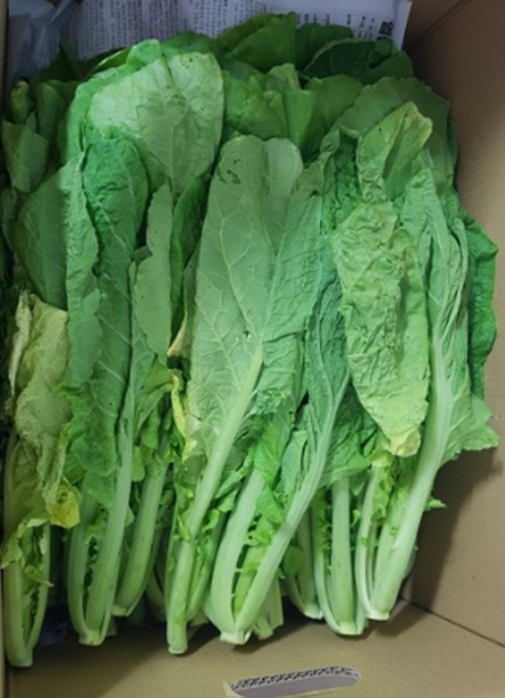 갓
