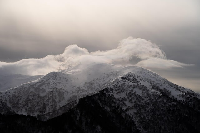 상생페이백 2차 신청 2025, 지금 꼭 알아야 할 핵심 정리!