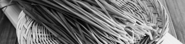 부추 키우기: 최소 6시간 이상 햇볕