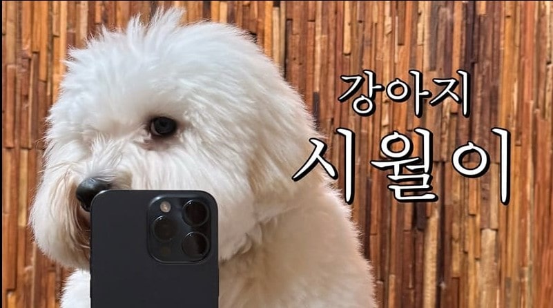 임영웅 콘서트