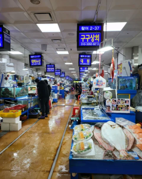 노량진수산물도매시장