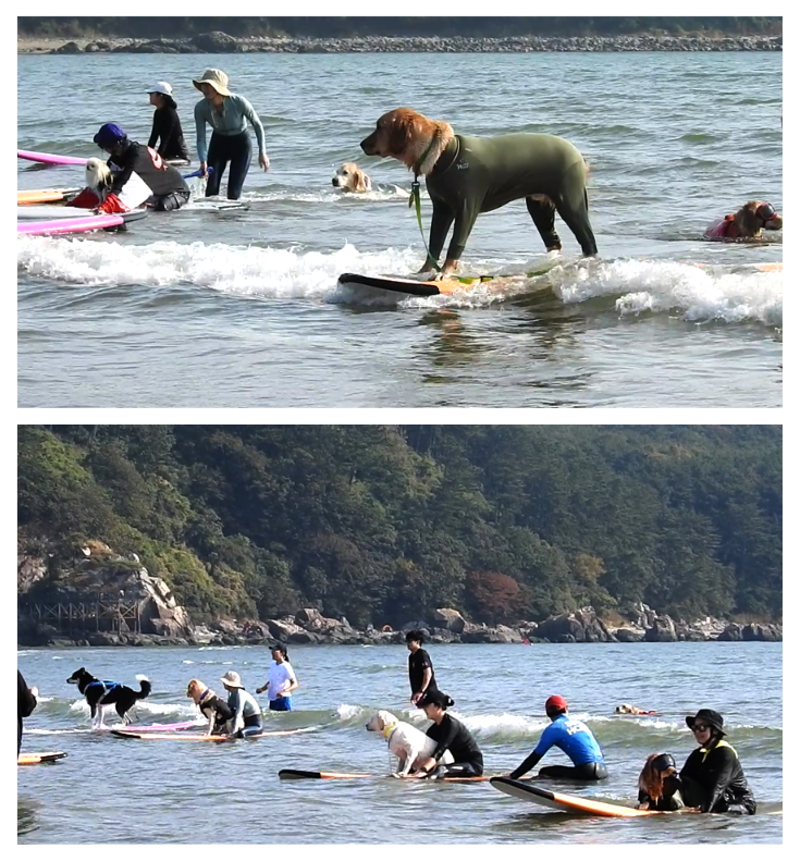 부산바다축제