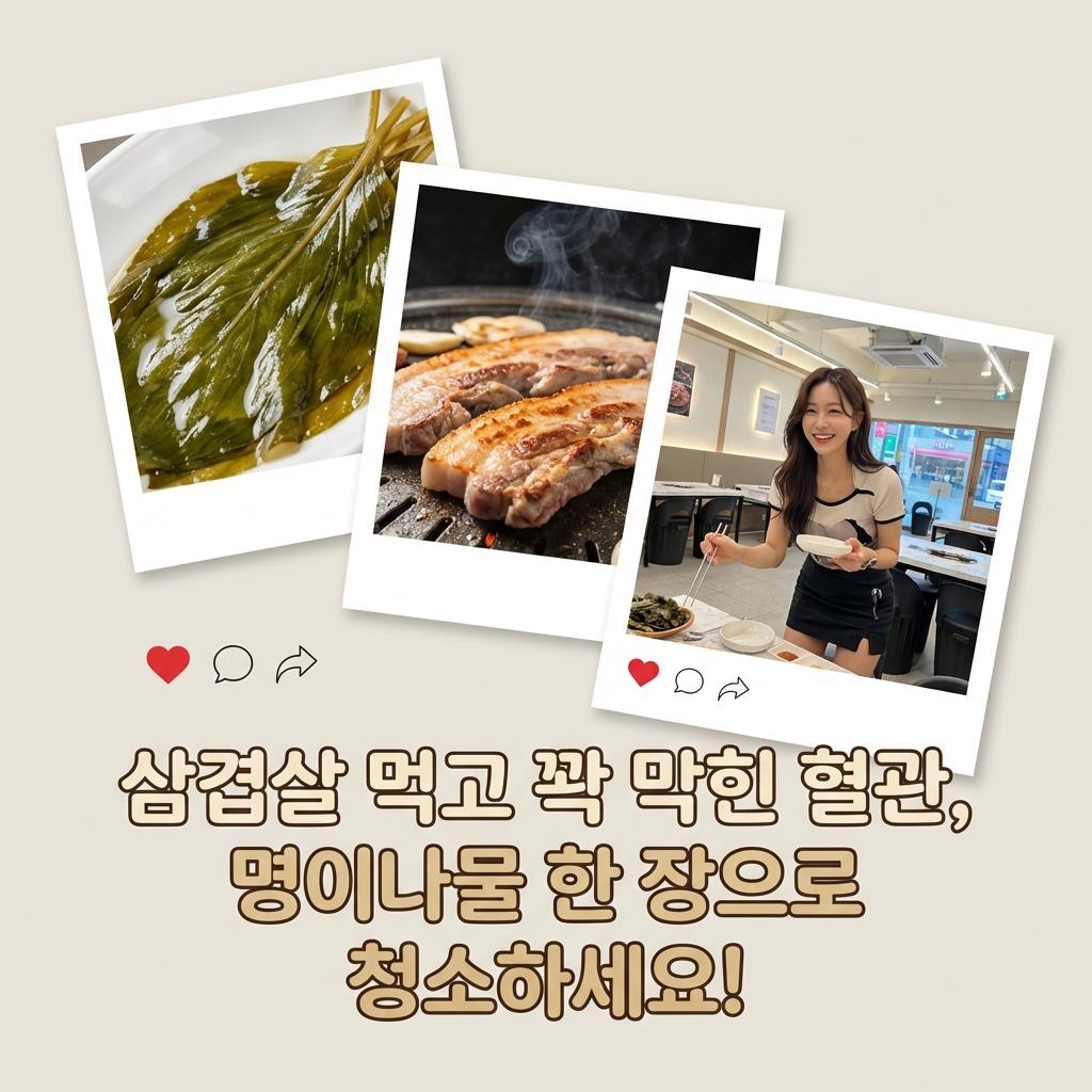 혈관 기름기 싹! 고기 먹을 때 명이나물 장아찌 효능 솔직 후기 장단점 비교 비용 공개